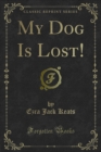 Image for My Dog Is Lost!