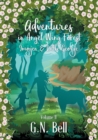 Image for Adventures In Angel Wing Forest