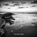 Image for Winter Sea - Volume 2