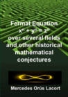 Image for Fermat Equation over several fields and other historical mathematical conjectures