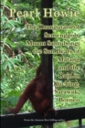 Image for The Orangutans of Semenggoh, Mount Santubong, the Sun Bears of Matang and the Rain in Kuching, Sarawak, Borneo