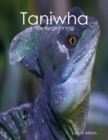 Image for Taniwha: The Begininning