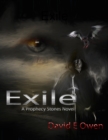 Image for Exile: A Prophecy Stones Novel