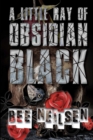 Image for A Little Ray of Obsidian Black