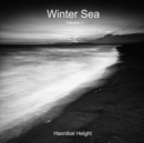 Image for Winter Sea - Volume 1