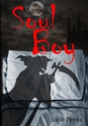 Image for Soul Boy