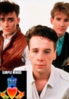 Image for Simple Minds