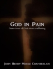 Image for God In Pain: Questions of God About Suffering