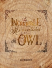 Image for Incredible Adventures of Mr Owl