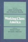 Image for Working-Class America