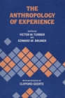 Image for The Anthropology of Experience