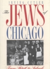 Image for The Jews of Chicago : From Shtetl to Suburb