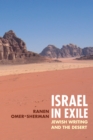Image for Israel in exile  : Jewish writing and the desert