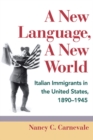 Image for A New Language, A New World