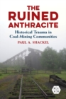Image for The ruined anthracite  : historical trauma in coal-mining communities