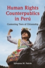 Image for Human Rights Counterpublics in Peru