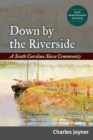 Image for Down by the Riverside: A South Carolina Slave Community