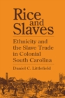 Image for Rice and Slaves: Ethnicity and the Slave Trade in Colonial South Carolina