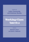 Image for Working-Class America: Essays on Labor, Community, and American Society