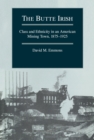 Image for The Butte Irish: Class and Ethnicity in an American Mining Town, 1875-1925