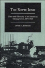 Image for The Butte Irish : Class and Ethnicity in an American Mining Town, 1875-1925