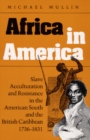 Image for Africa in America  : slave acculturation and resistance in the American South and the British Caribbean, 1736-1831