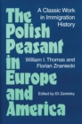 Image for The Polish Peasant in Europe and America : A CLASSIC WORK IN IMMIGRATION HISTORY