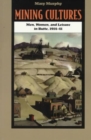 Image for Mining Cultures : Men, Women, and Leisure in Butte, 1914-41