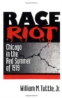 Image for Race Riot : CHICAGO IN THE RED SUMMER OF 1919