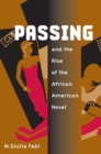 Image for Passing and the Rise of the African American Novel