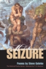 Image for Michelangelo&#39;s seizure