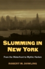 Image for Slumming in New York  : from the waterfront to mythic Harlem