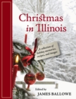 Image for Christmas in Illinois