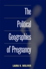 Image for The political geographies of pregnancy