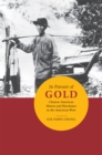 Image for In pursuit of gold: Chinese American miners and merchants in the American West