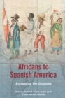 Image for Africans to Spanish America: expanding the diaspora