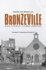Image for Along the streets of Bronzeville: black Chicago&#39;s literary landscape