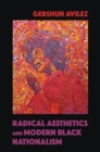 Image for Radical aesthetics and modern Black nationalism : 82