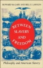 Image for Between slavery and freedom: philosophy and American slavery