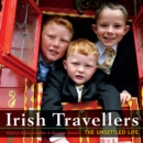 Image for Irish travellers  : the unsettled life