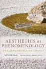 Image for Aesthetics as phenomenology  : the appearance of things