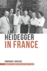Image for Heidegger in France