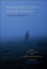 Image for Phenomenology in anthropology: a sense of perspective