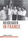 Image for Heidegger in France