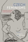 Image for Czech feminisms: perspectives on gender in East Central Europe