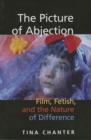 Image for The picture of abjection: film, fetish, and the nature of difference