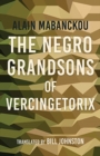 Image for The Negro Grandsons of Vercingetorix