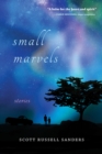 Image for Small marvels  : stories