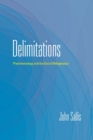 Image for Delimitations  : phenomenology and the end of metaphysics