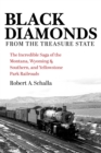 Image for Black diamonds from the treasure state  : the incredible saga of the Montana, Wyoming &amp; Southern, and Yellowstone park railroads